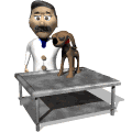 Veterinario